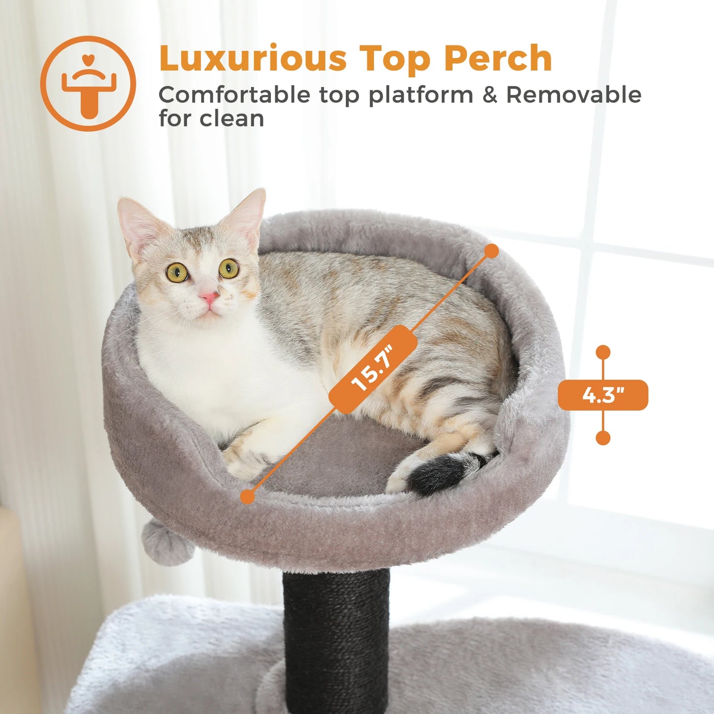 Indoor Cat Tree With Spacious Condo And Scratching Posts